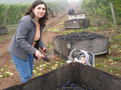 Delphine_checking_harvest